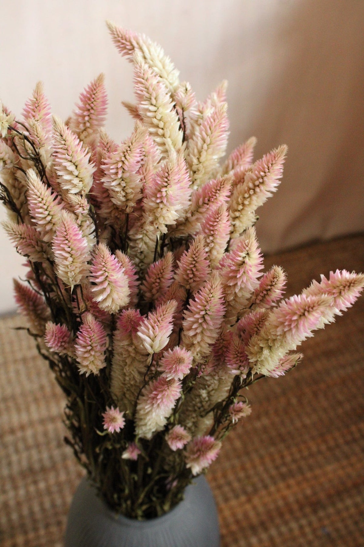 Vasenglück Trockenblumen Celosia | Rosa Natur