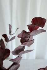 Vasenglück Trockenblumen Eukalyptus Cinerea konserviert | 1 Bund | Dunkelrot