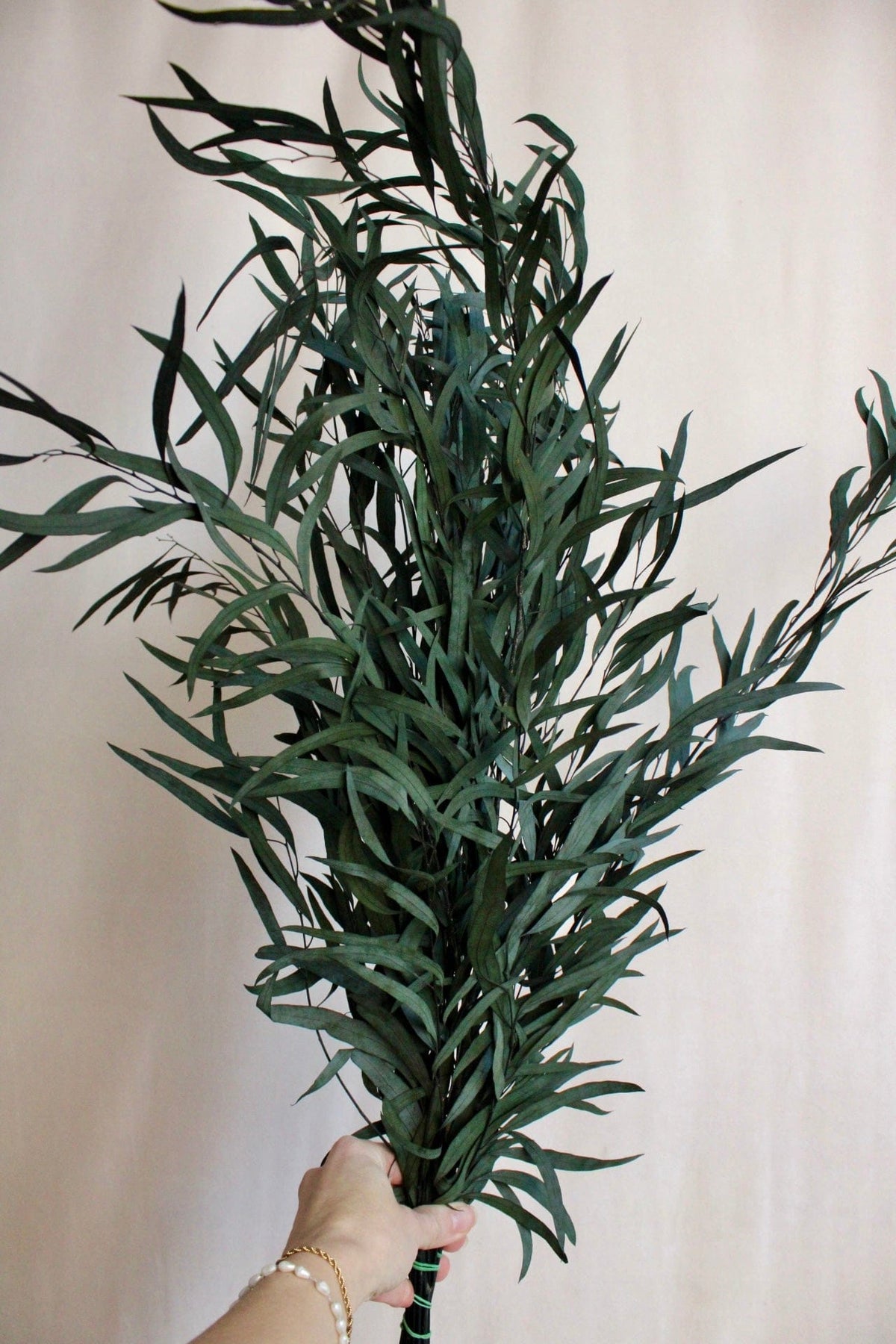 Vasenglück Trockenblumen Eukalyptus Nicoli konserviert | Grün