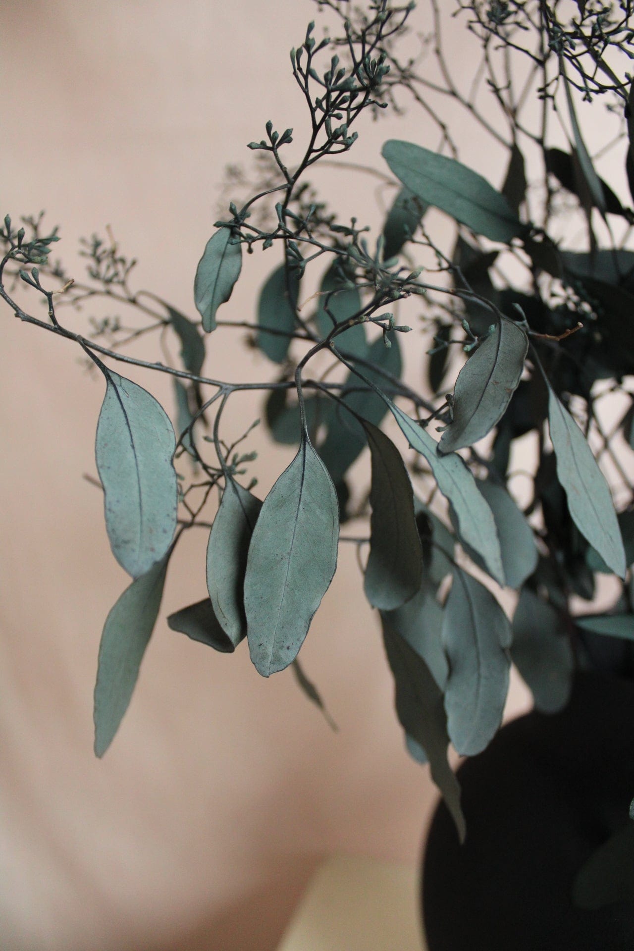 Konservierte Eukalyptus-Stiele, 40,6 Cm – 20 Stück Natürliche Deko Für Vasen, Hochzeiten & DIY