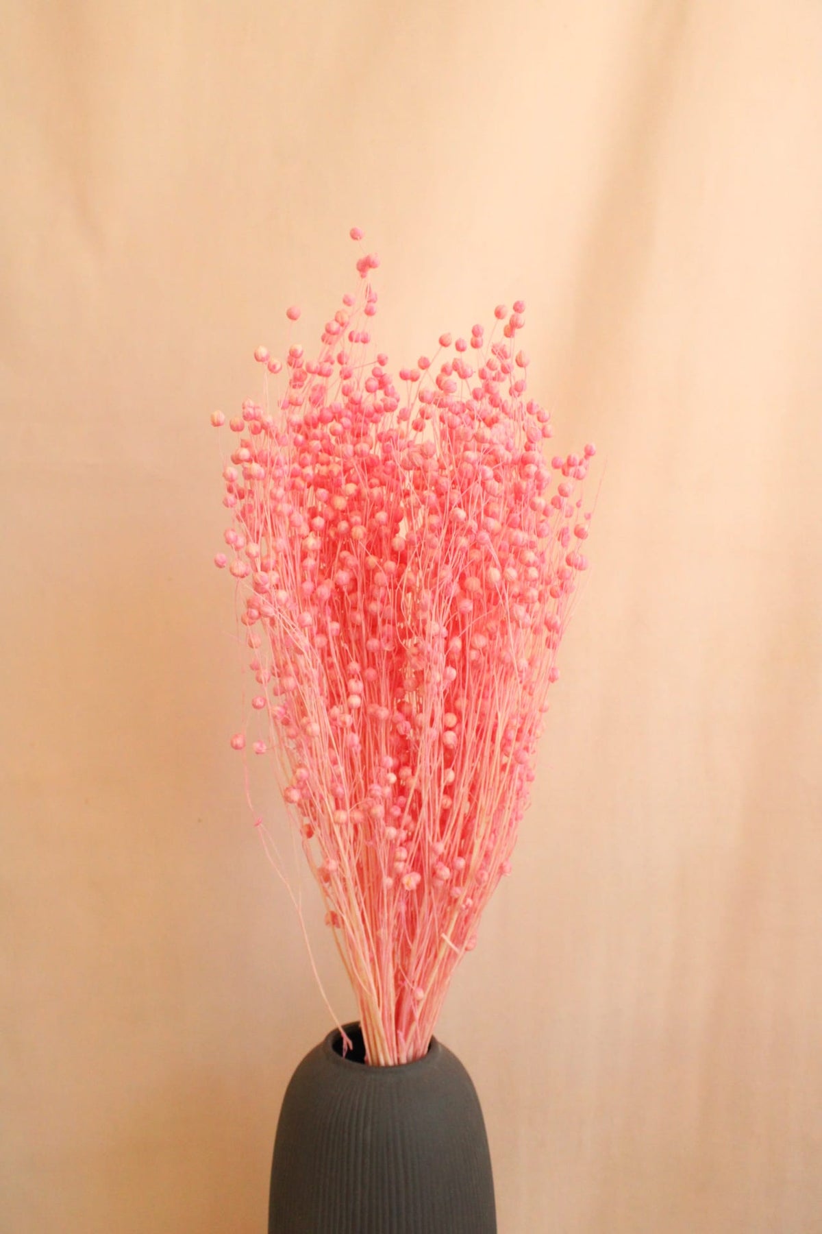 Vasenglück Trockenblumen Flachs | Rosa
