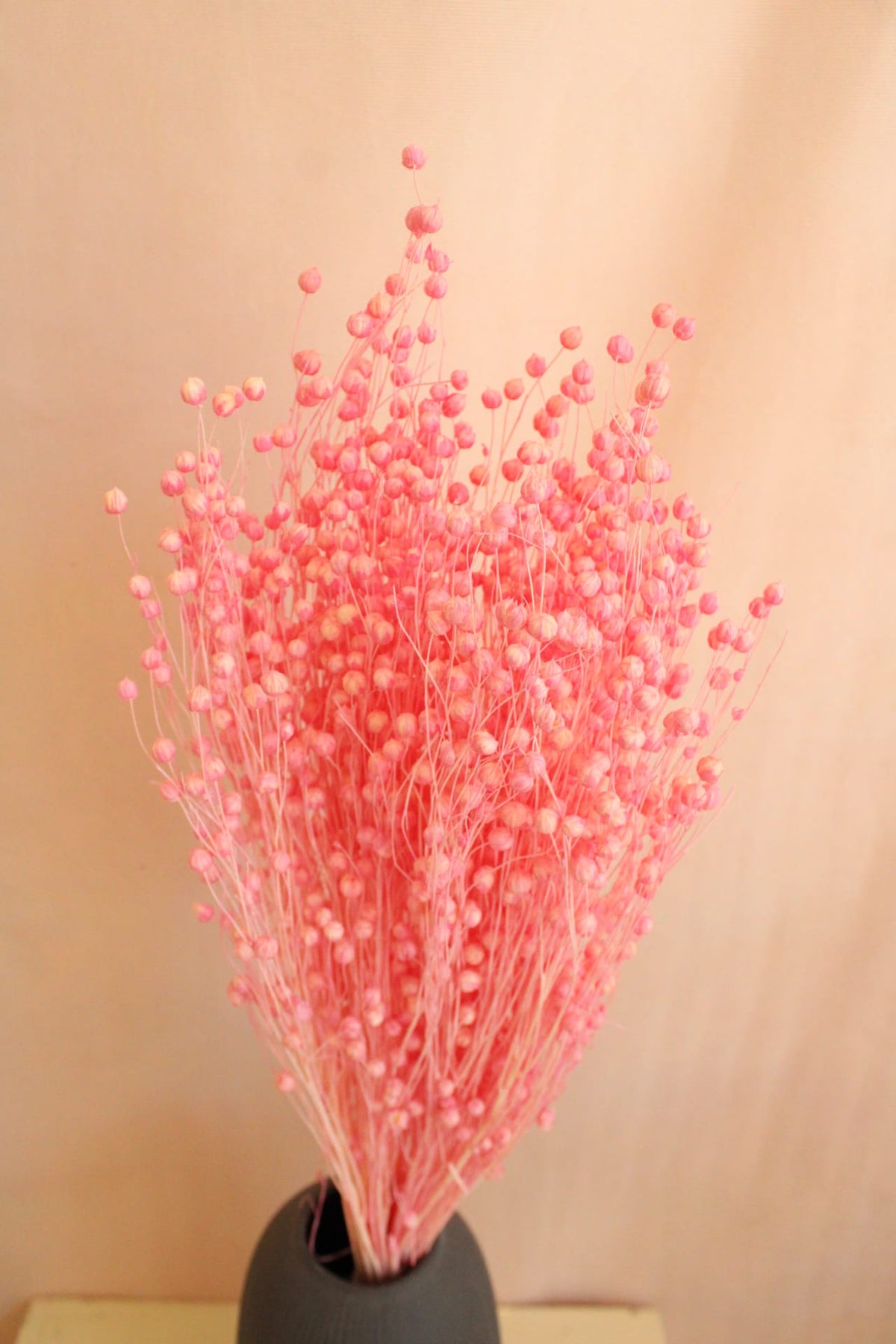 Vasenglück Trockenblumen Flachs | Rosa