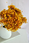 Vasenglück Trockenblumen Glixia | Gelb