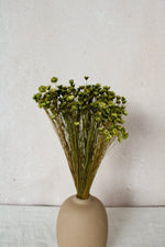 Vasenglück Trockenblumen Kleines Bund Glixia | Grün