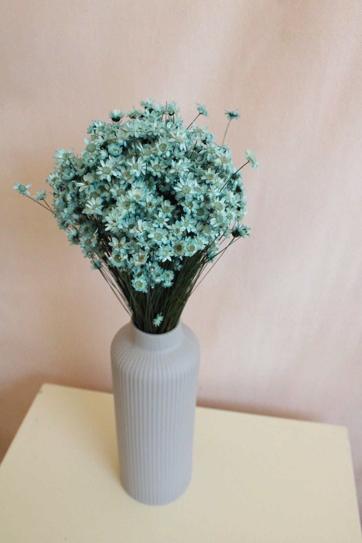 Vasenglück Trockenblumen Glixia | Hellblau