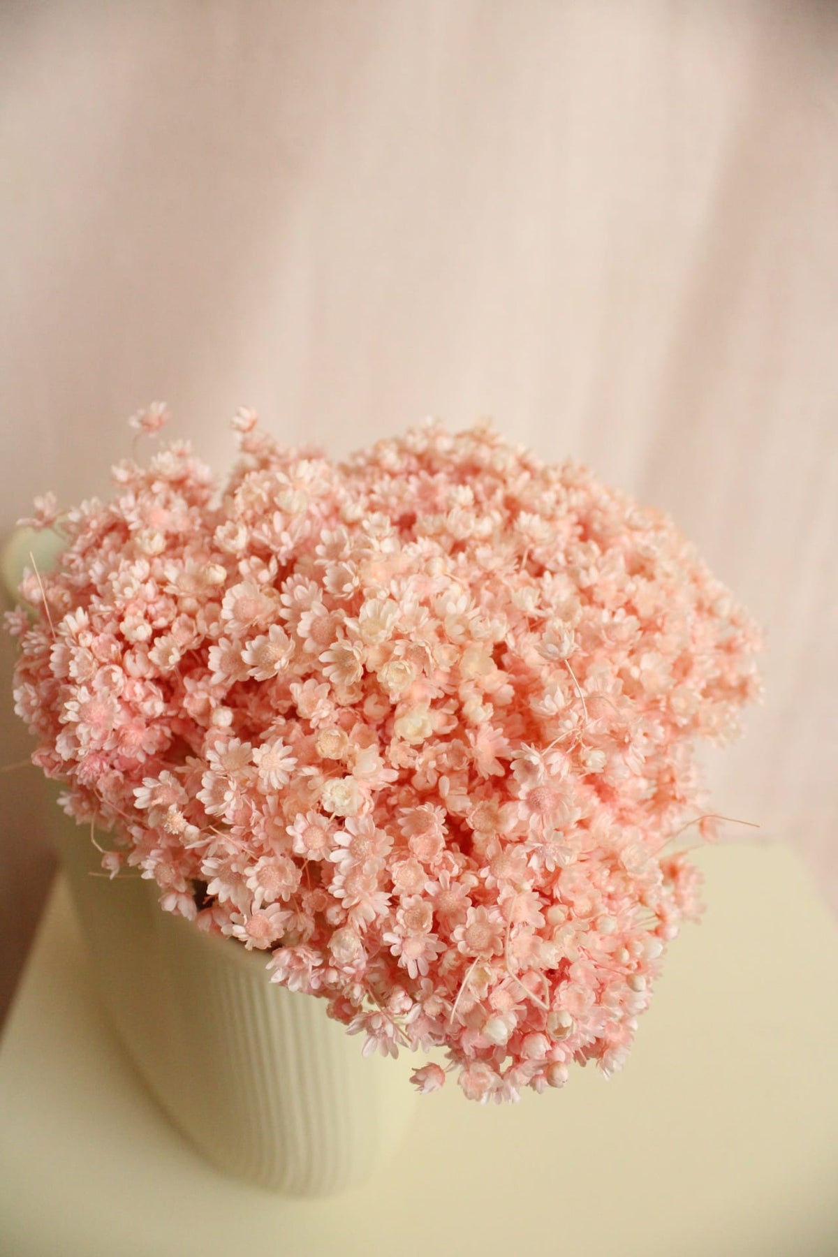 Vasenglück Trockenblumen Glixia | Hellrosa