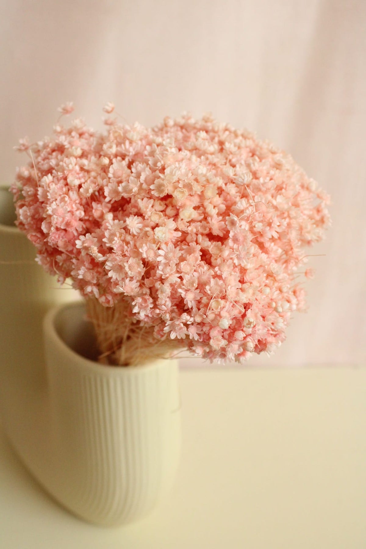 Vasenglück Trockenblumen Glixia | Hellrosa