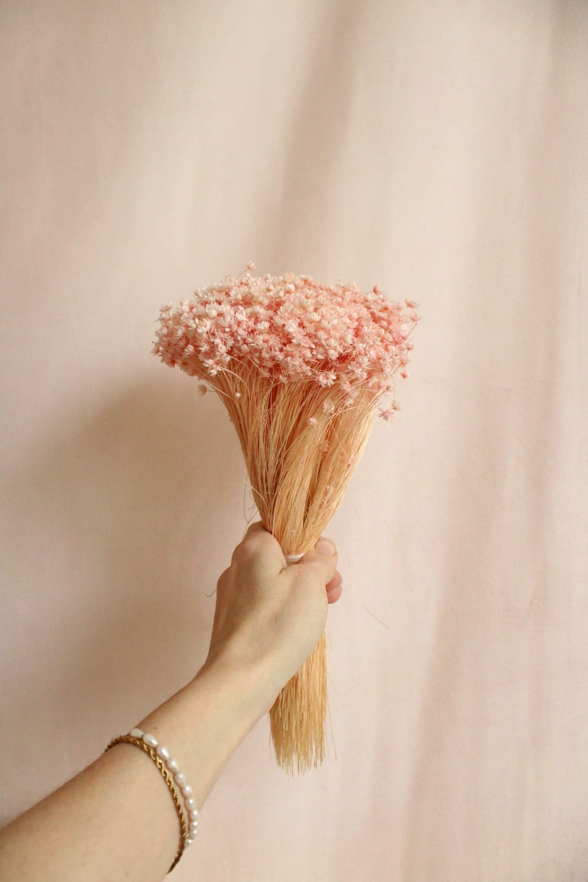 Vasenglück Trockenblumen Glixia | Hellrosa