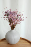 Vasenglück Trockenblumen Kleines Bund Glixia | Lila