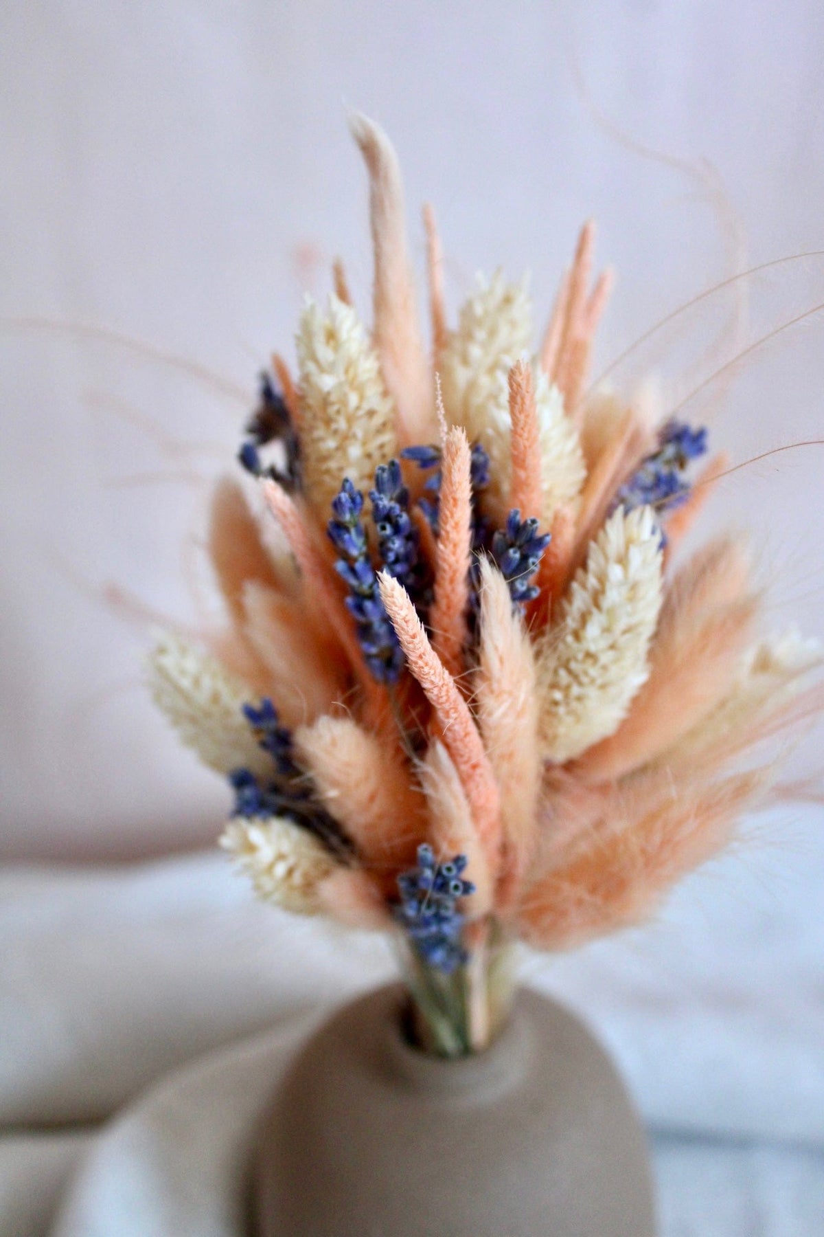 Vasenglück Trockenblumen Kleiner Trockenblumenstrauss „Lavendel-Liebe“ | Apricot & Creme