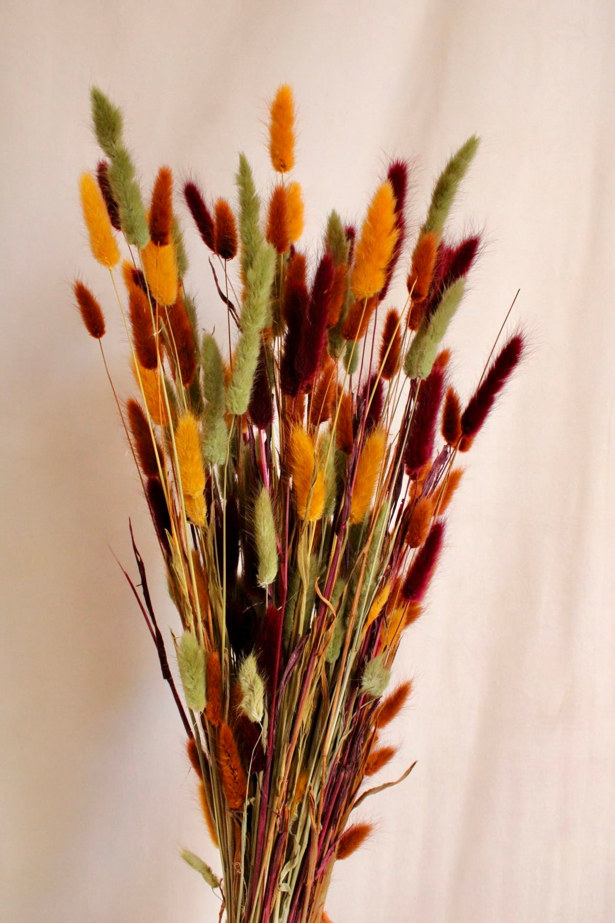 Vasenglück Trockenblumen Lagurus | Herbst-Mix