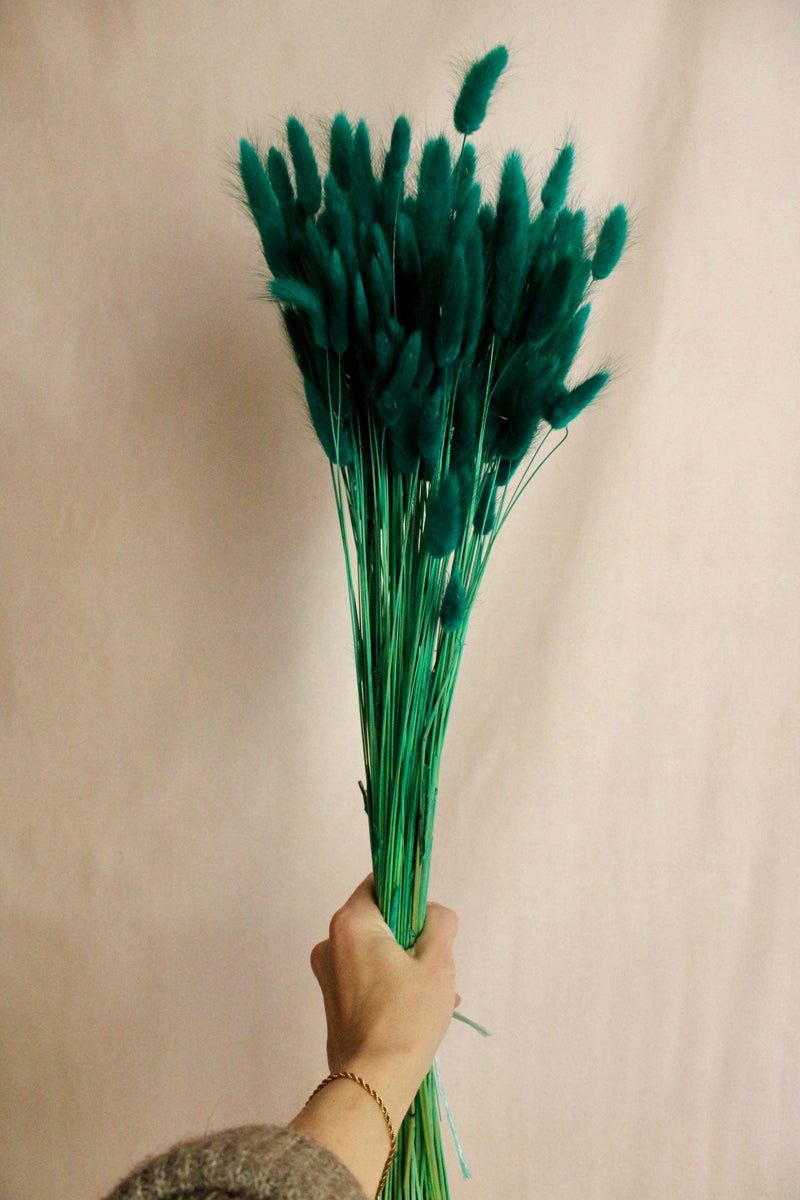 Vasenglück Trockenblumen Großes Bund (ca. 100 Stiele) Lagurus | Türkis