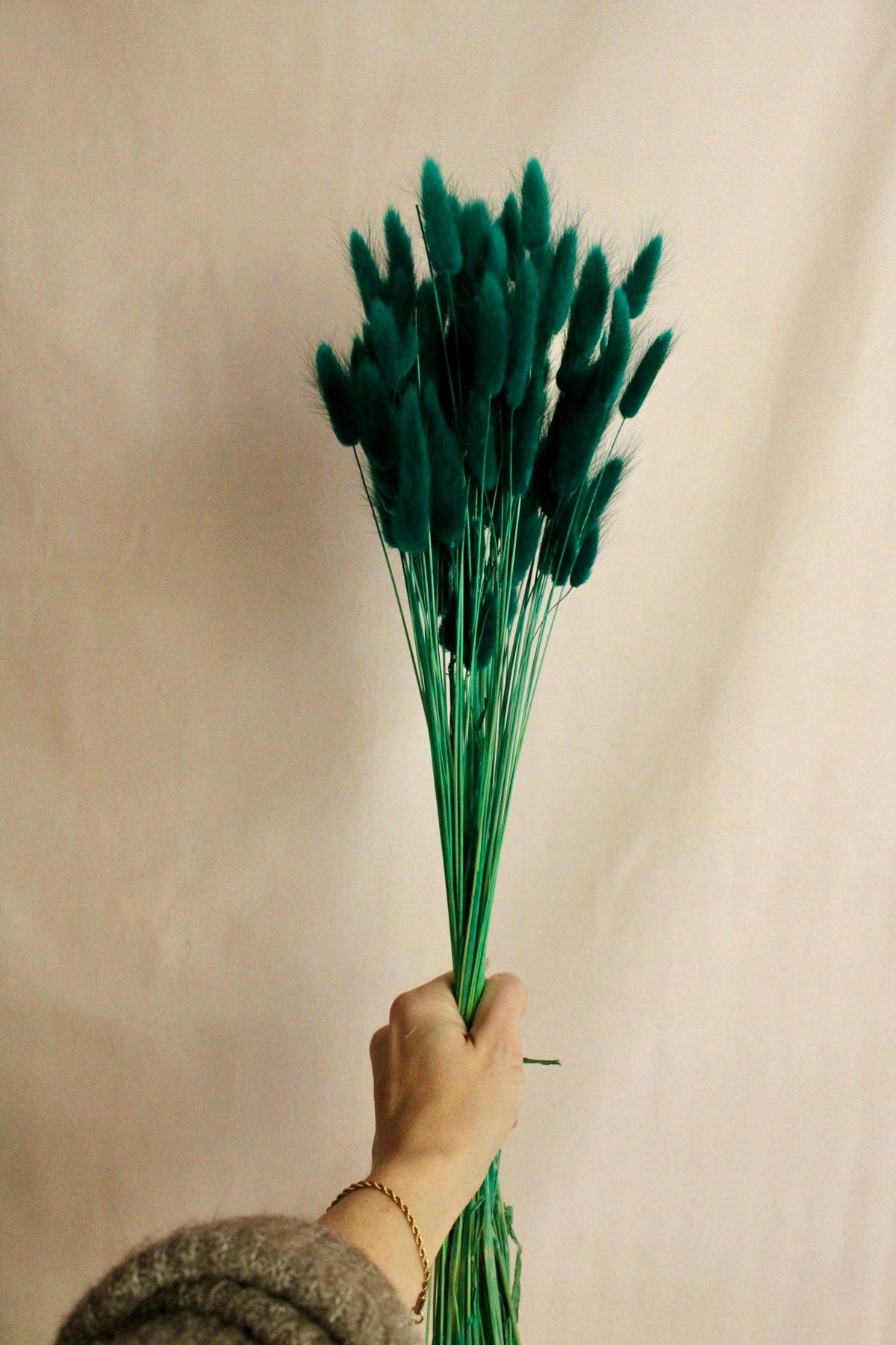 Vasenglück Trockenblumen Kleines Bund (ca. 50 Stiele) Lagurus | Türkis