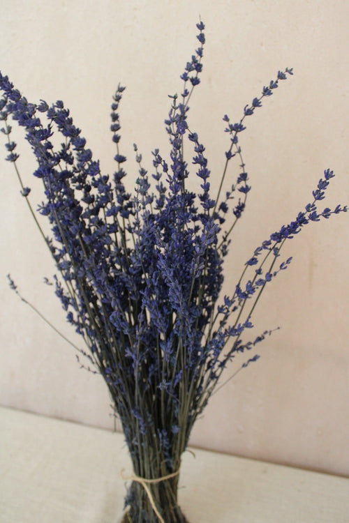 Vasenglück Trockenblumen Lavendel konserviert | Blau