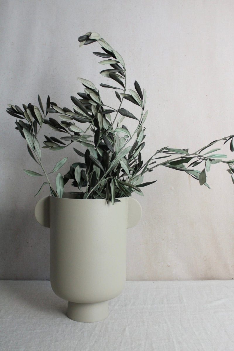 Vasenglück Trockenblumen Großes Bund Olivenzweige konserviert | 1 Bund | Grün