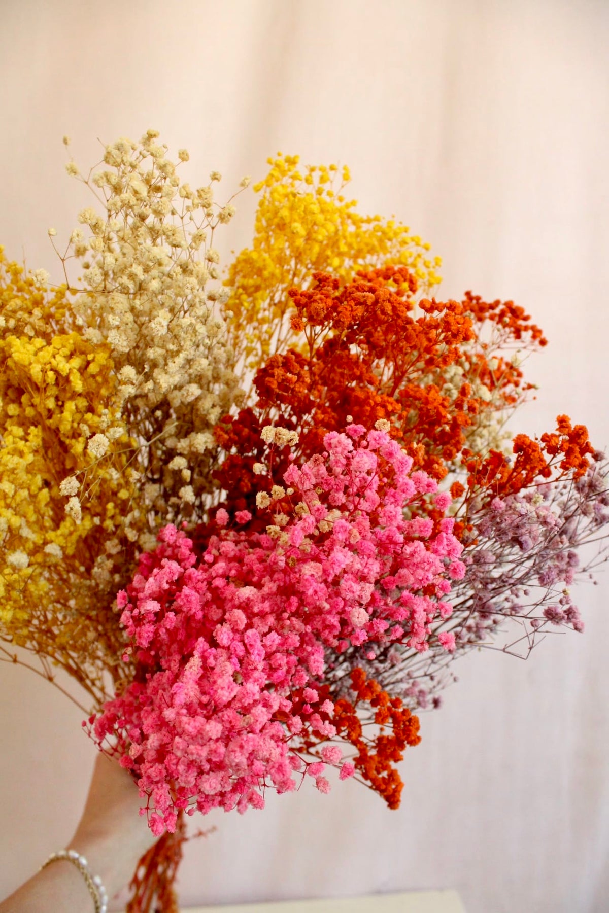 Vasenglück Trockenblumen Schleierkraut konserviert | Bunt