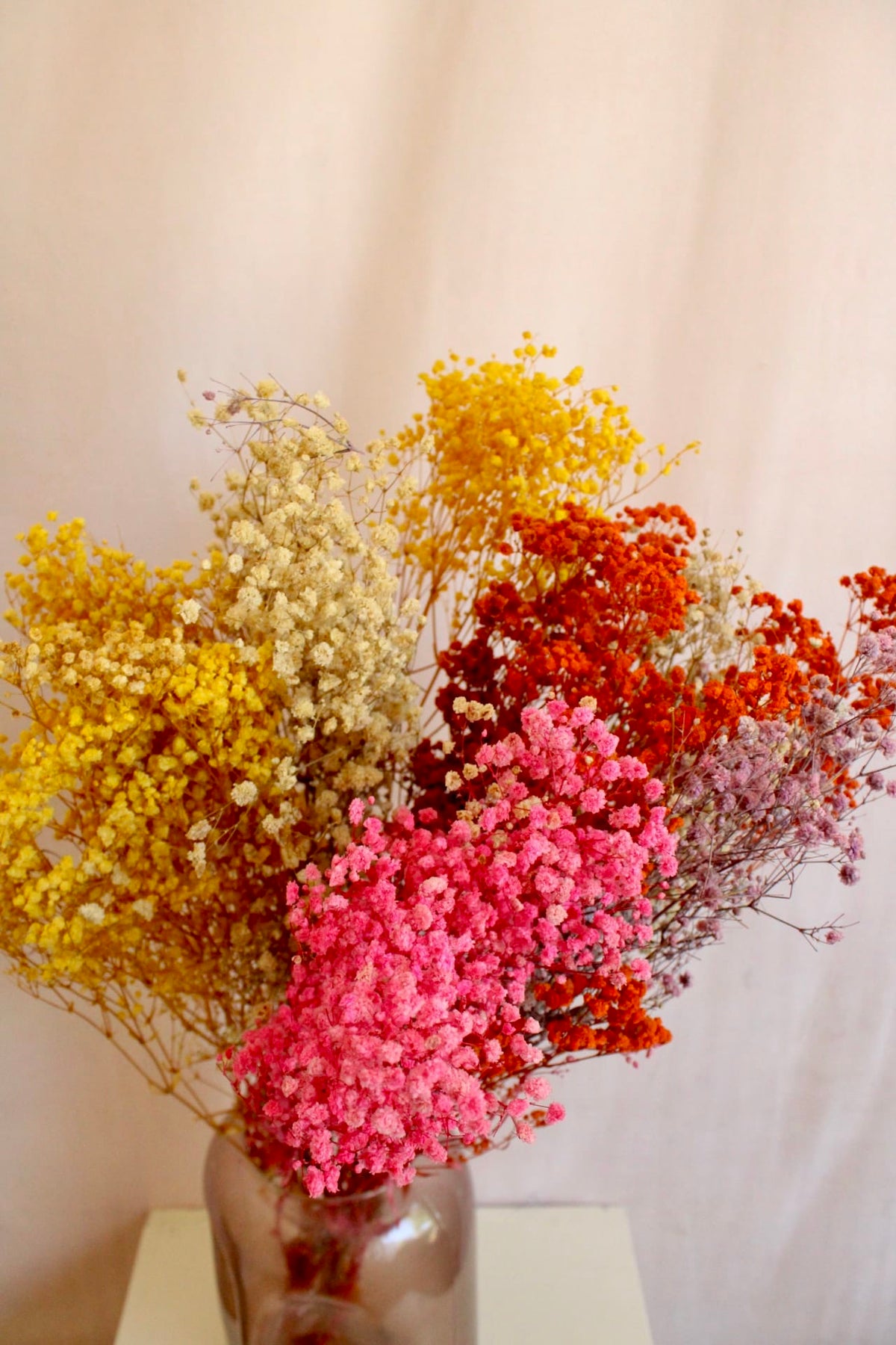 Vasenglück Trockenblumen Schleierkraut konserviert | Bunt