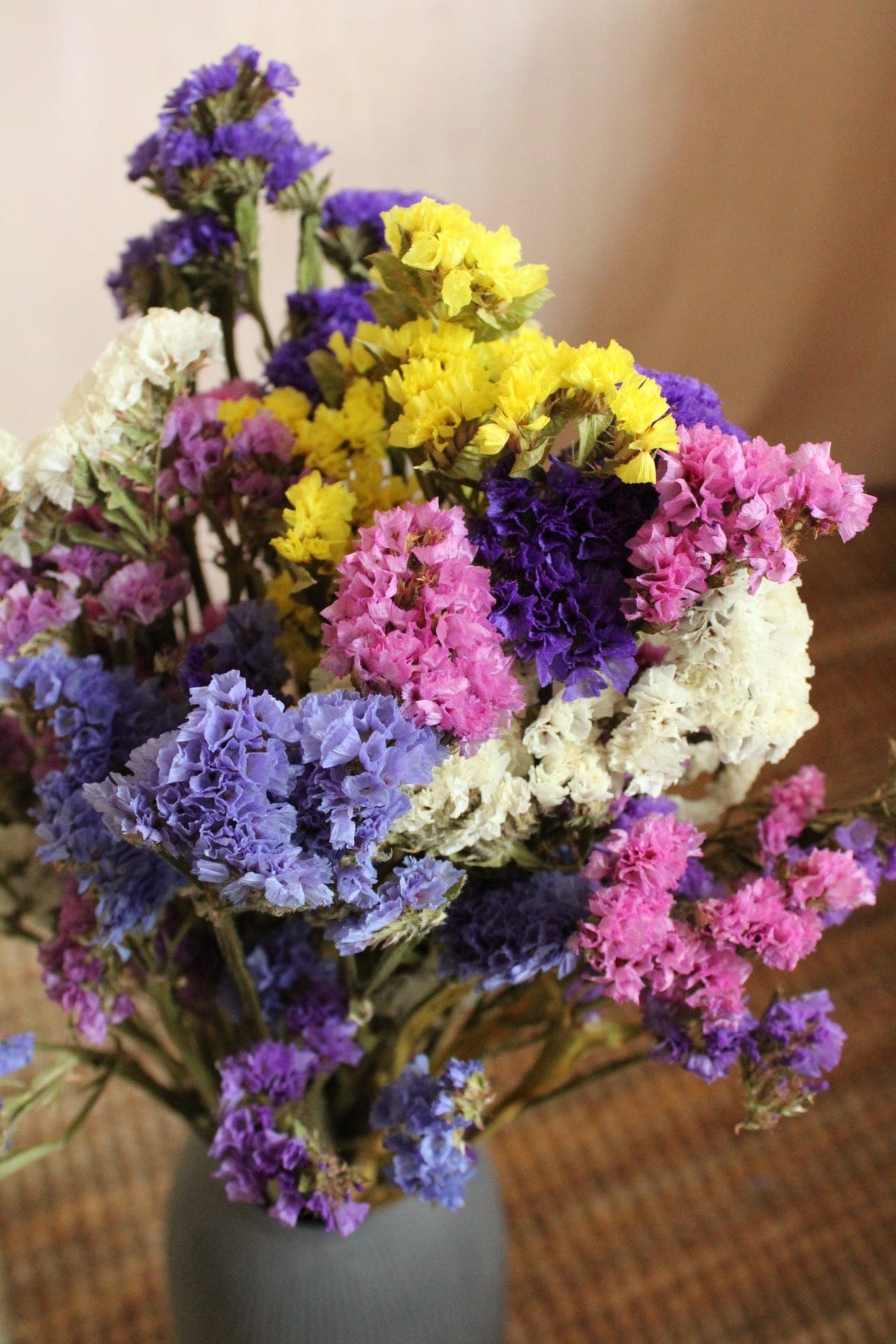 Vasenglück Trockenblumen Statice | Bunt