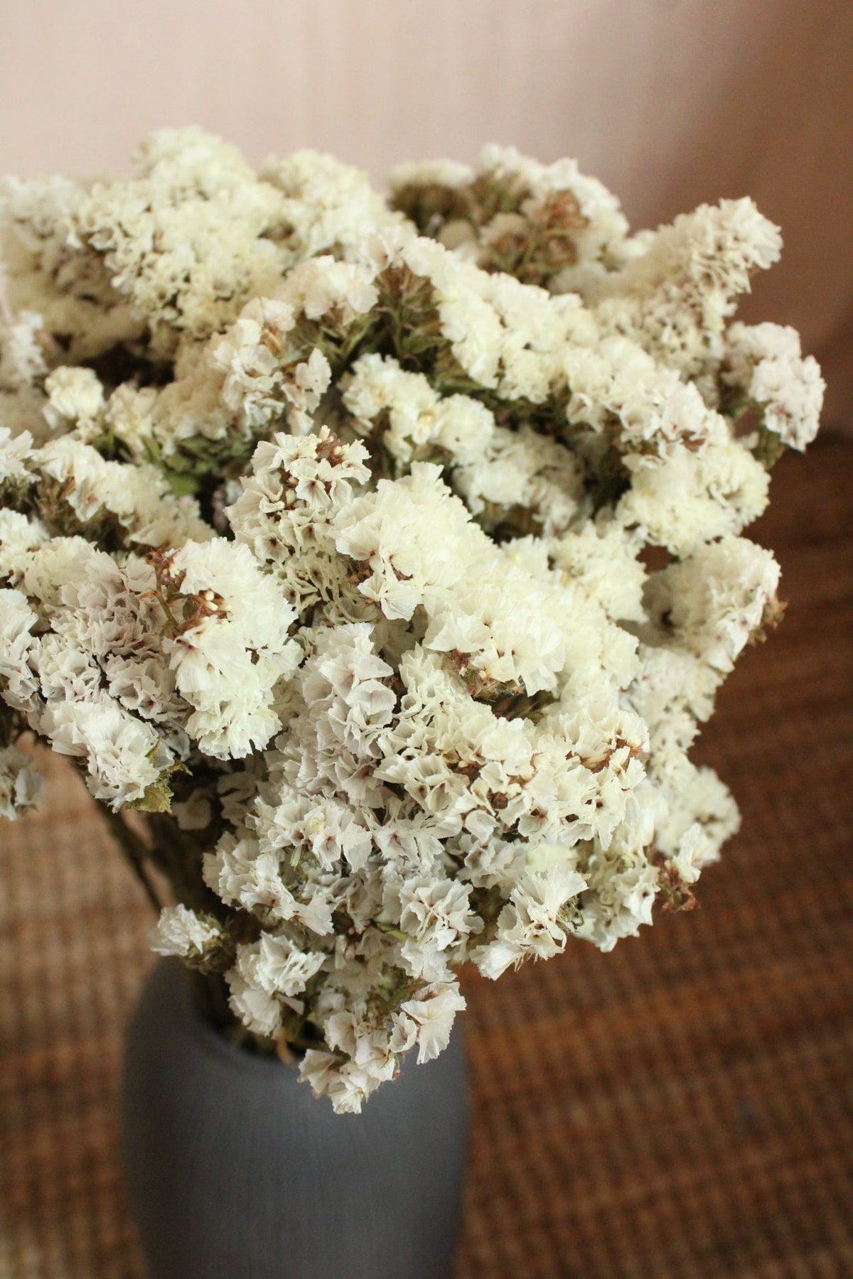 Vasenglück Trockenblumen Statice | Natur Weiss