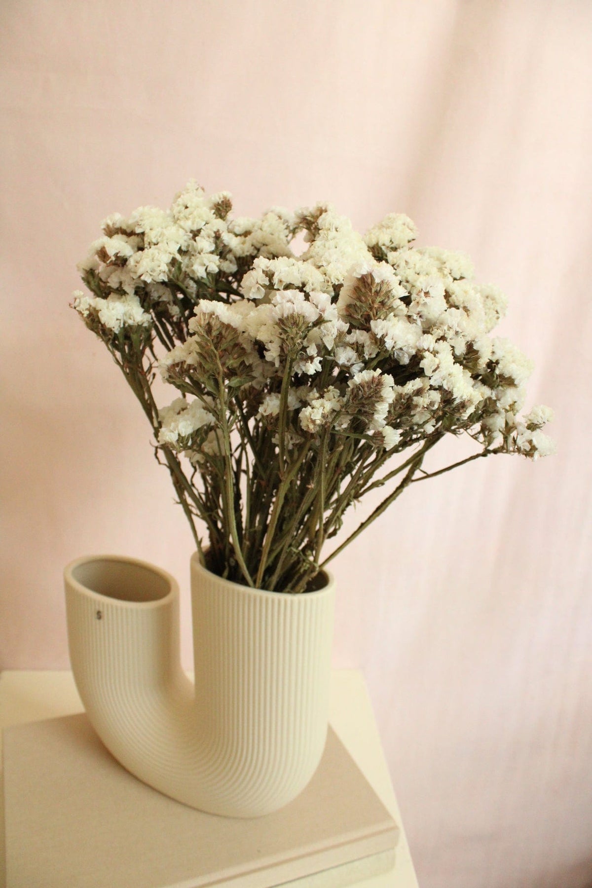 Vasenglück Trockenblumen Statice | Natur Weiss