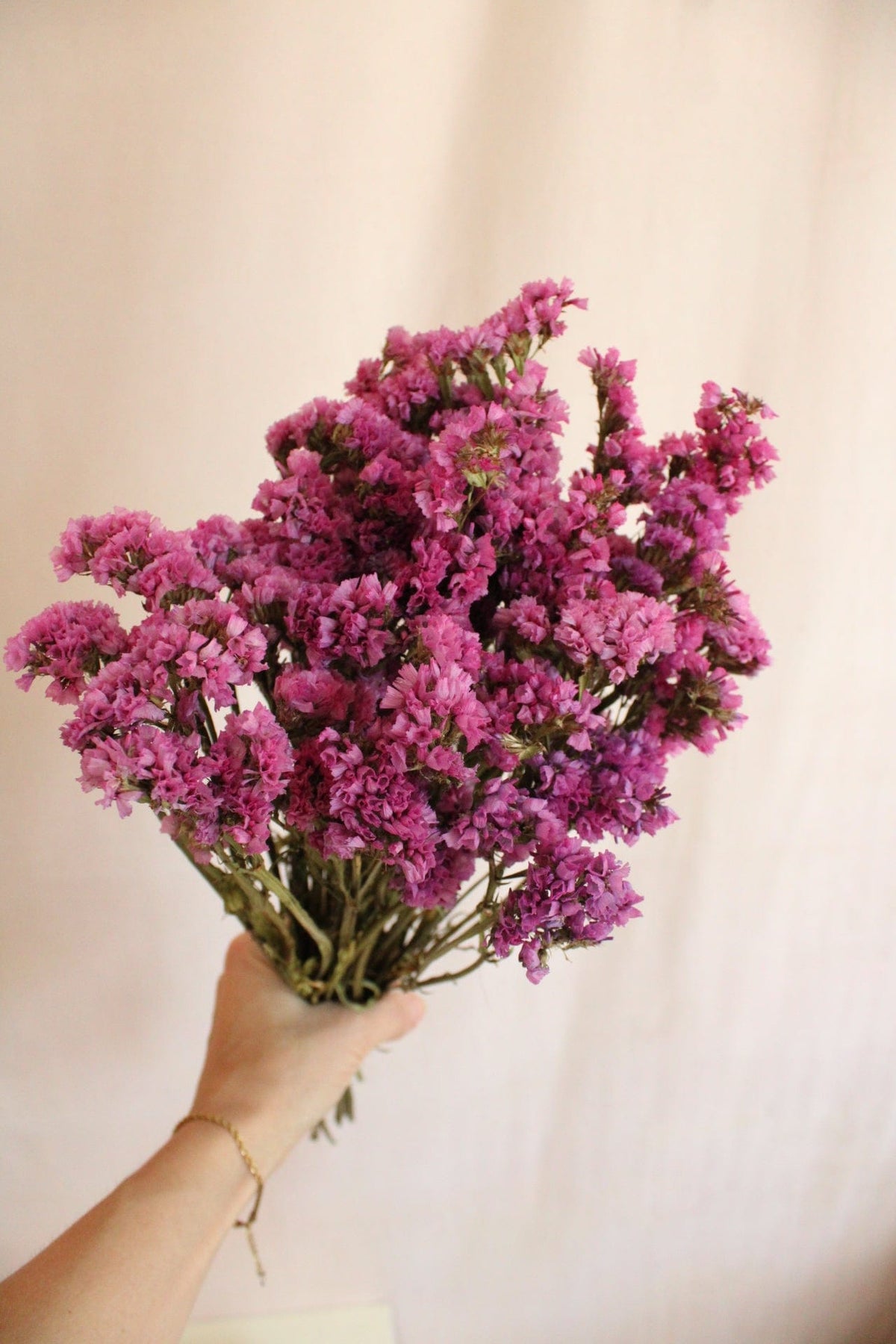 Vasenglück Trockenblumen Statice | Pink