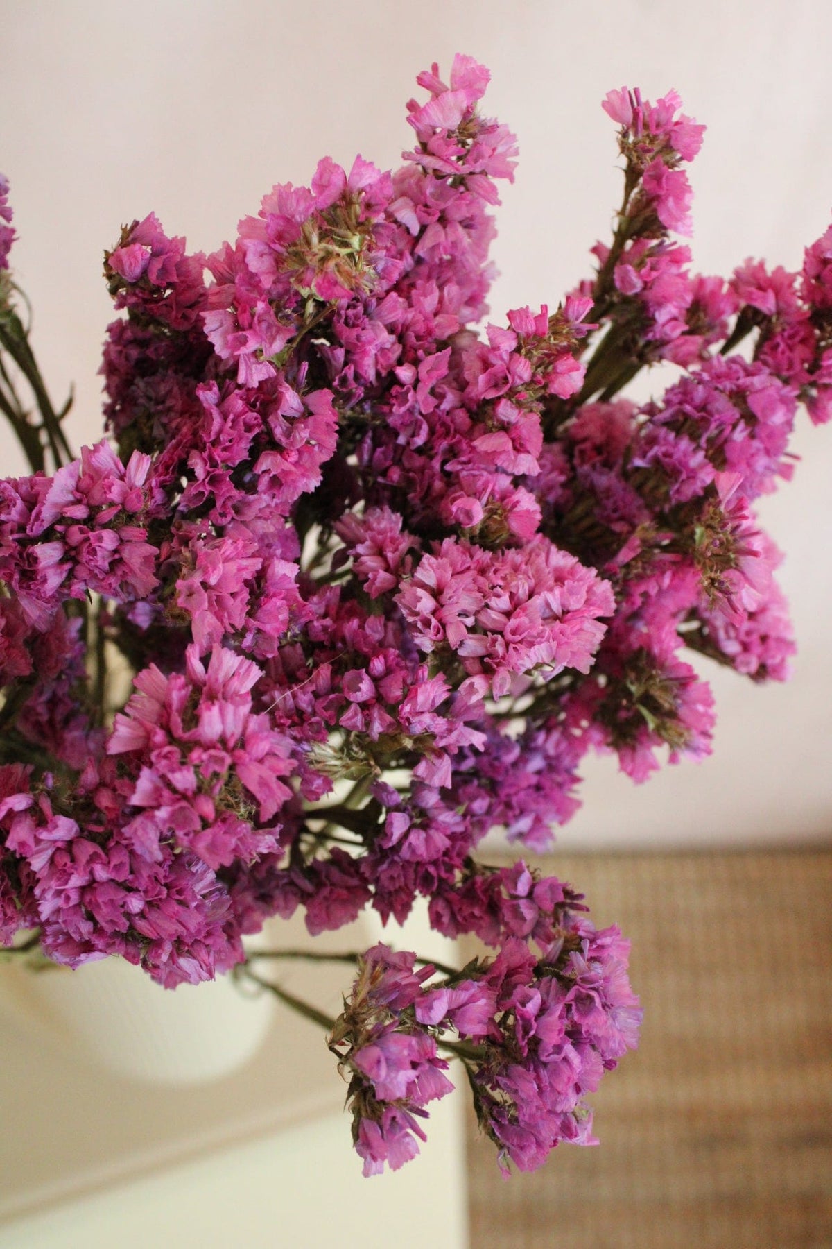 Vasenglück Trockenblumen Statice | Pink