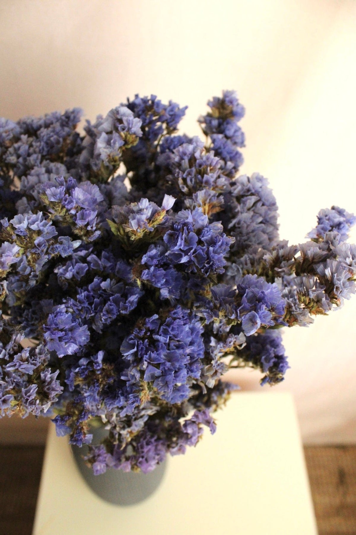 Vasenglück Trockenblumen Strandflieder | Blau Flieder