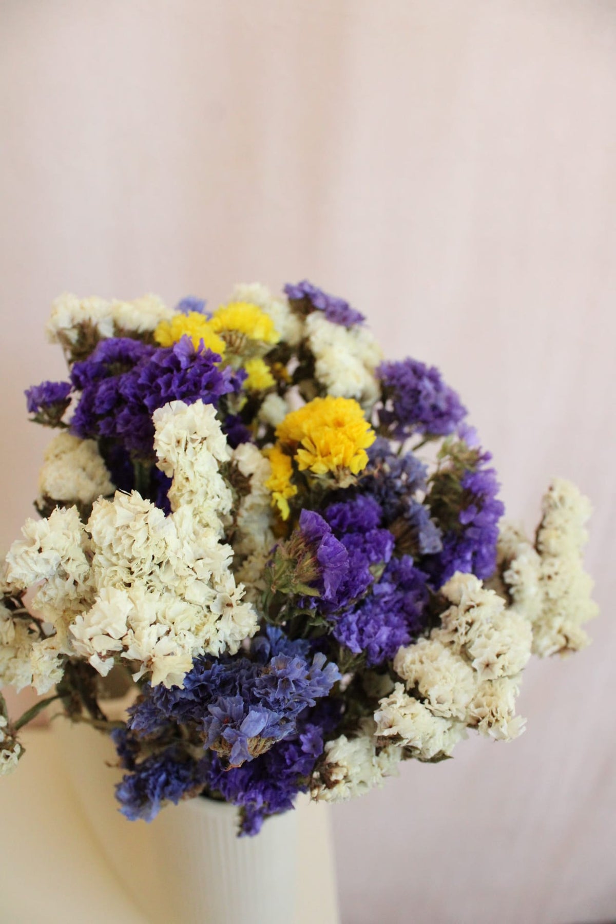 Vasenglück Trockenblumen Strandflieder | Bunt