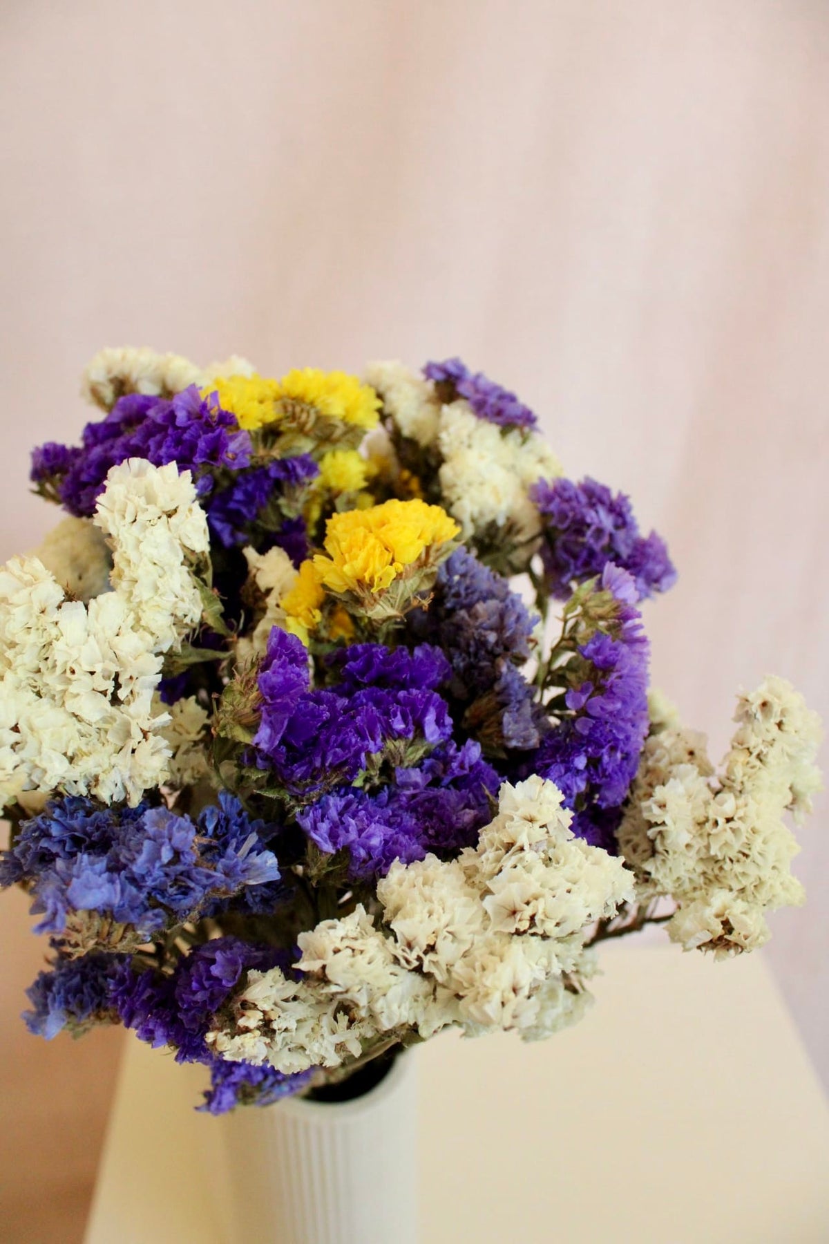 Vasenglück Trockenblumen Strandflieder | Bunt
