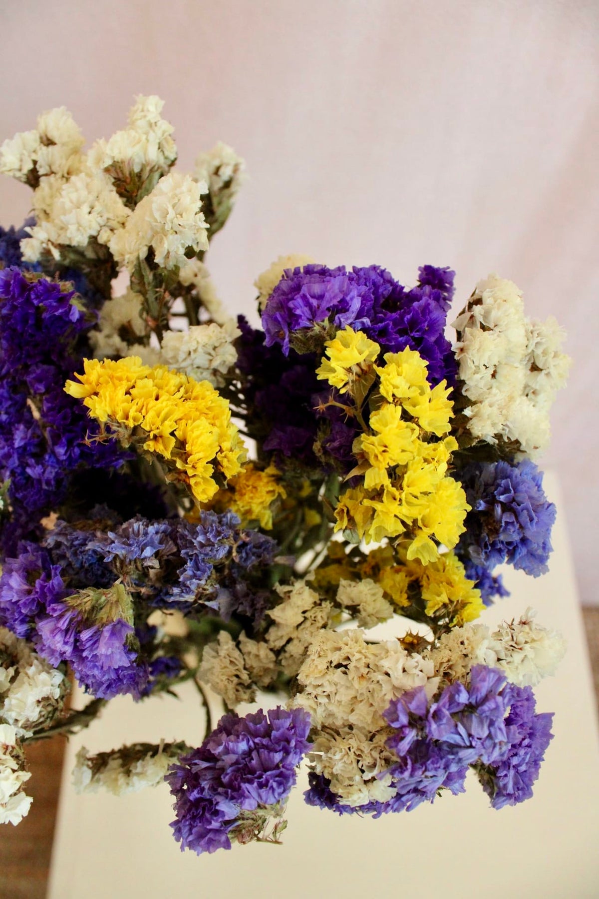 Vasenglück Trockenblumen Strandflieder | Bunt