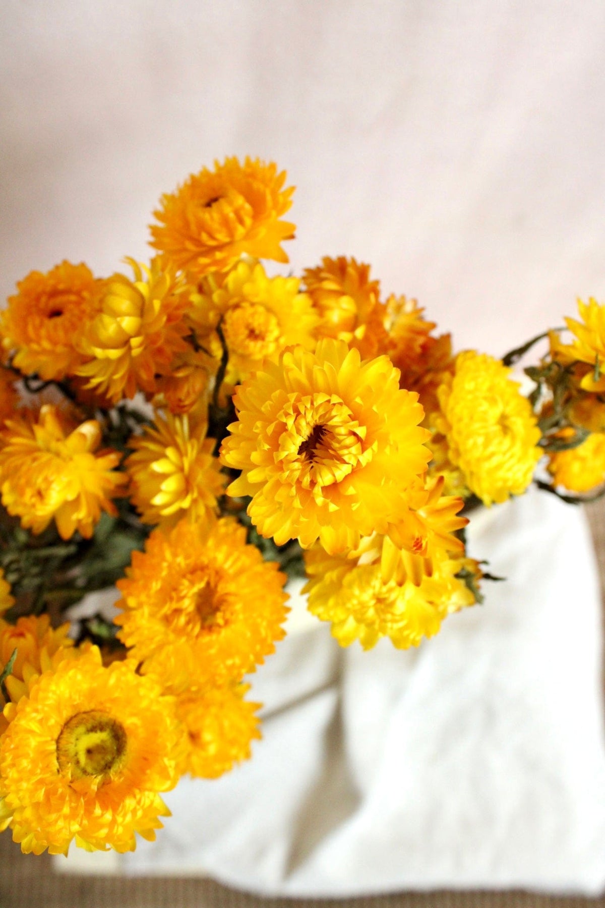 Vasenglück Trockenblumen Strohblumen | Gelb