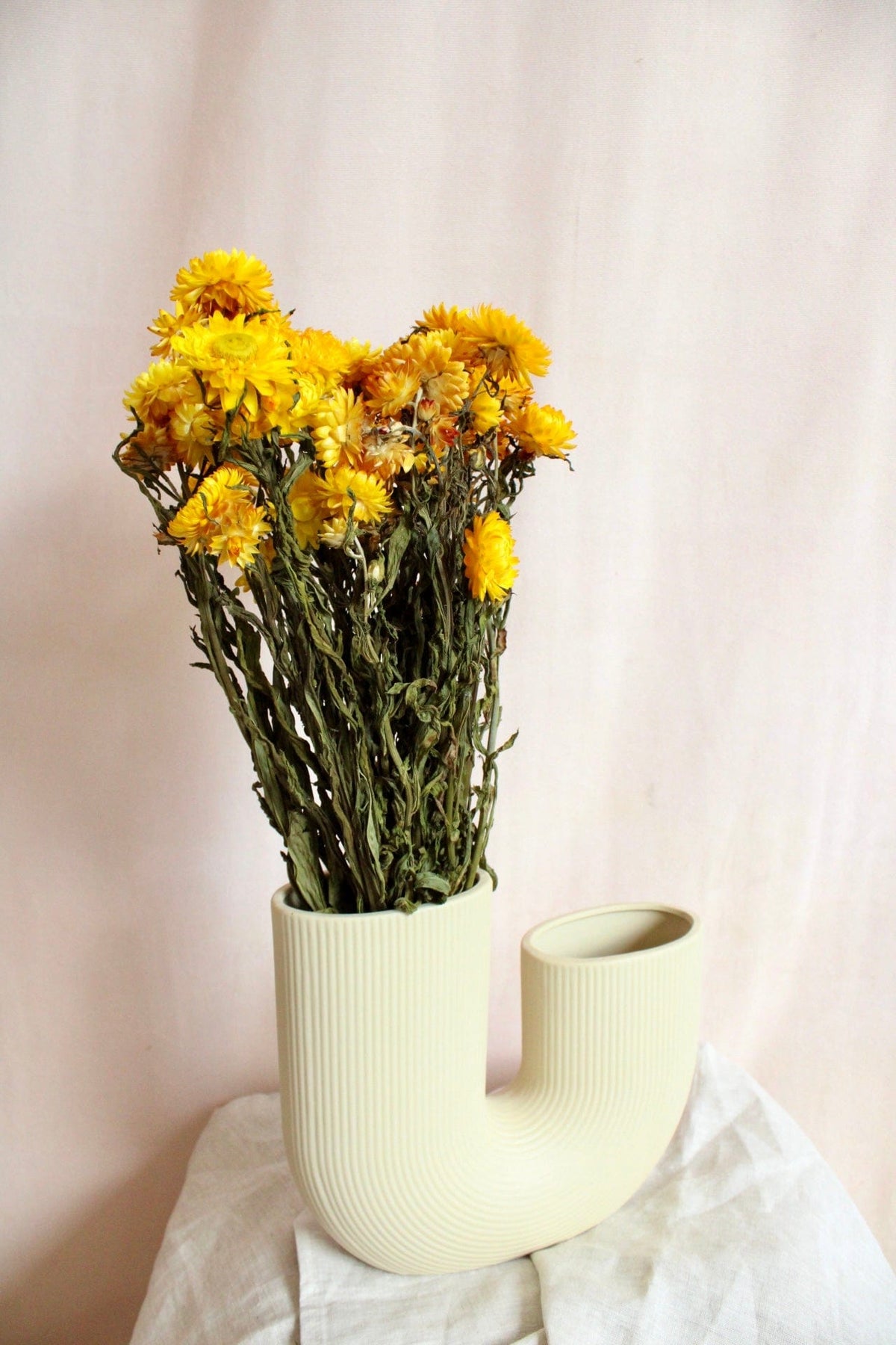 Vasenglück Trockenblumen Strohblumen | Gelb