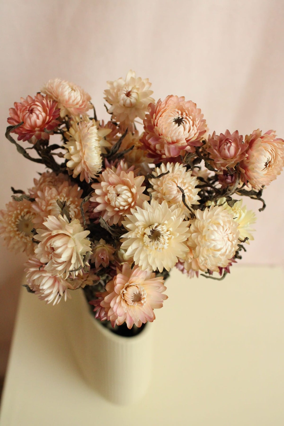 Vasenglück Trockenblumen Strohblumen | Rosa & Creme
