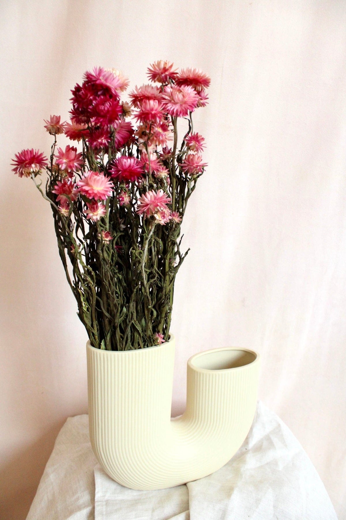 Vasenglück Trockenblumen Strohblumen | Rosa & Pink