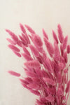 Vasenglück Trockenblumen Trockenblumen in kleinen Mengen - Rosa/Pink