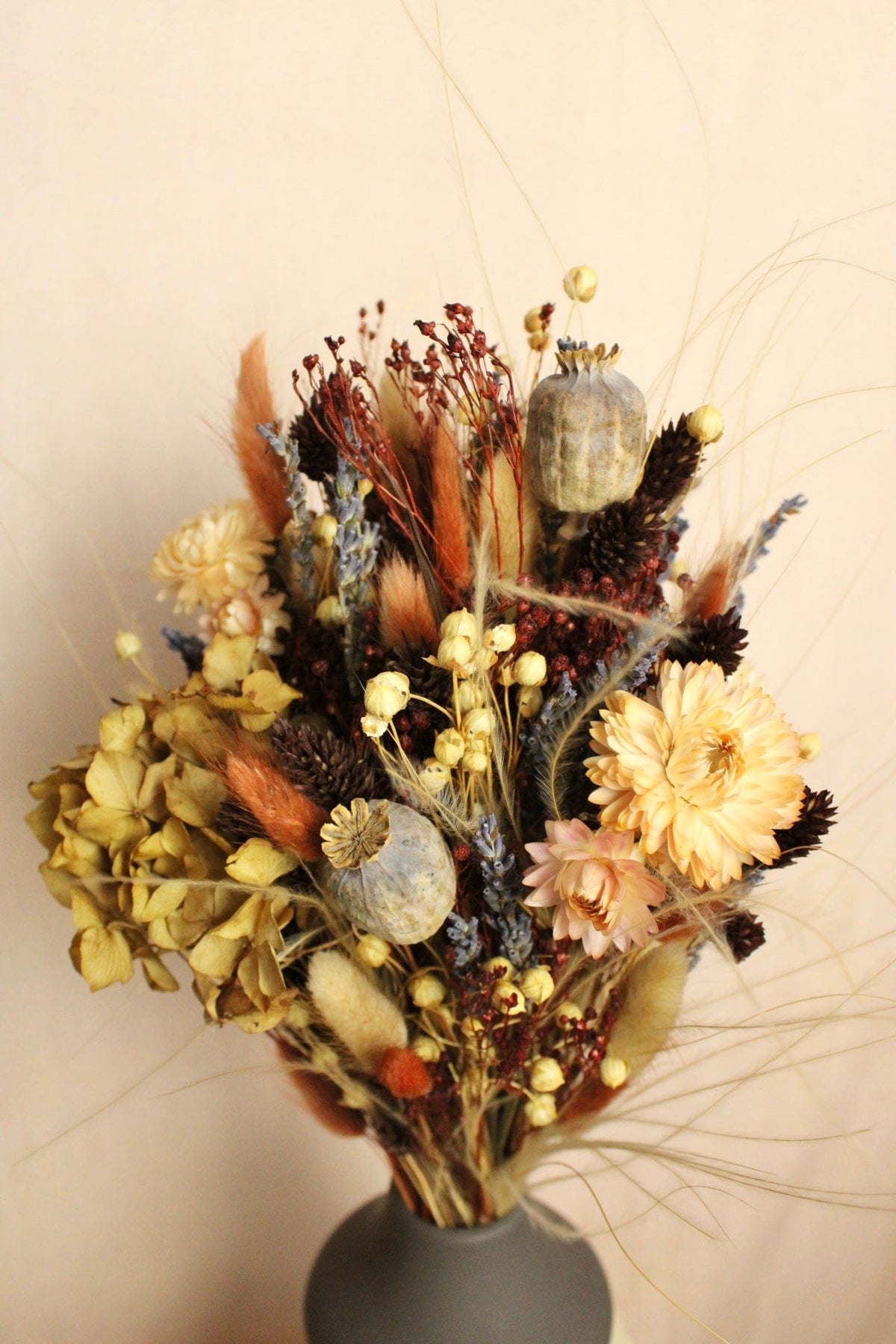 Vasenglück Trockenblumen Trockenblumenstrauss „No. 115“ in Braun & Creme mit Mohn & Hortensien