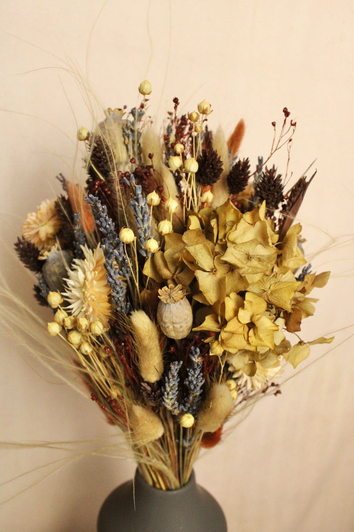 Vasenglück Trockenblumen Trockenblumenstrauss „No. 115“ in Braun & Creme mit Mohn & Hortensien