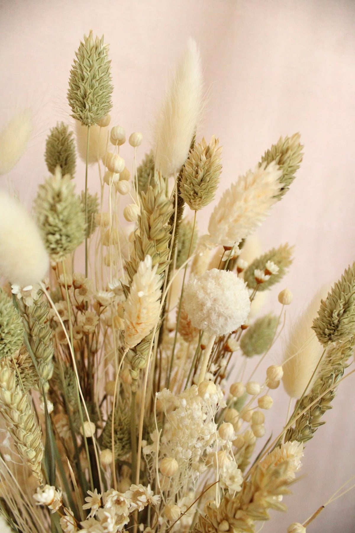 Vasenglück Trockenblumen Trockenblumenstrauss „No. 146“ Hellgrün und Cremweiss mit Glixia und Craspedia