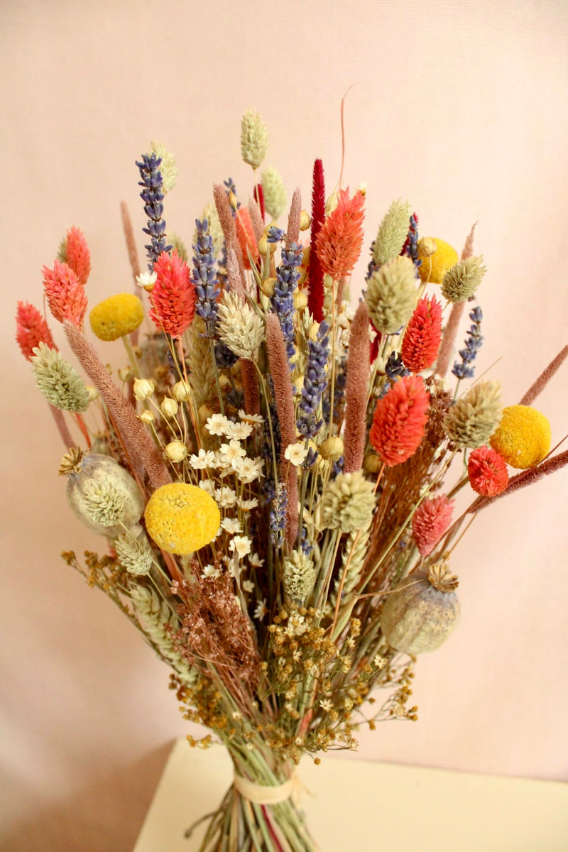 Vasenglück Trockenblumen Trockenblumenstrauss „No. 148“ Bunt mit Lavendel, Mohn & Craspedia
