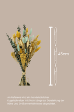 Vasenglück Trockenblumen Trockenblumenstrauß „No. 4“ mit Eukalyptus und Lagurus