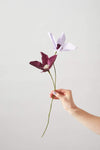 Papierblume | Clematis | Aubergine Vasenglück