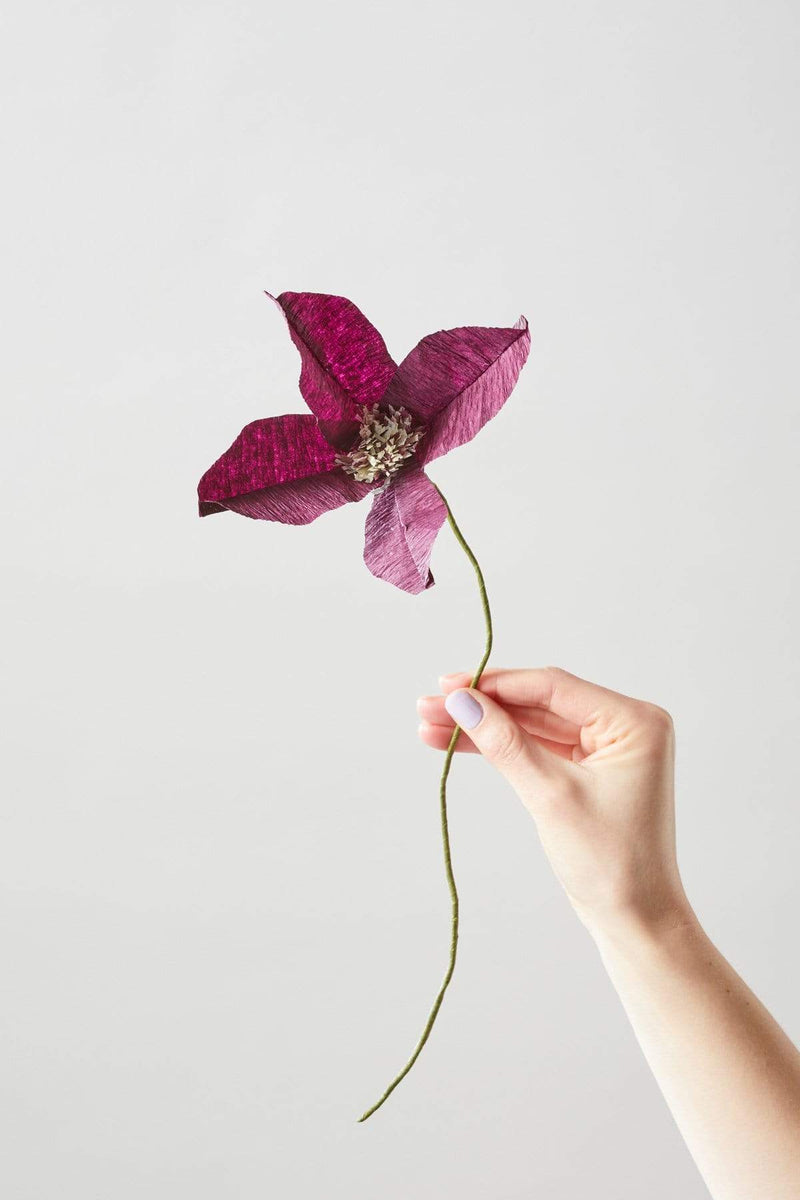 Papierblume | Clematis | Aubergine Vasenglück