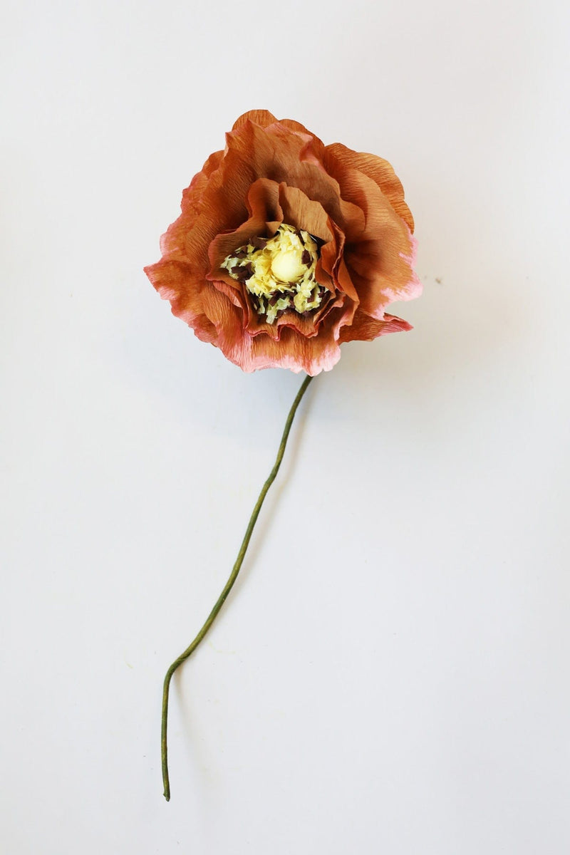 Papierblume | Eismohn | Dunkles Ocker Vasenglück