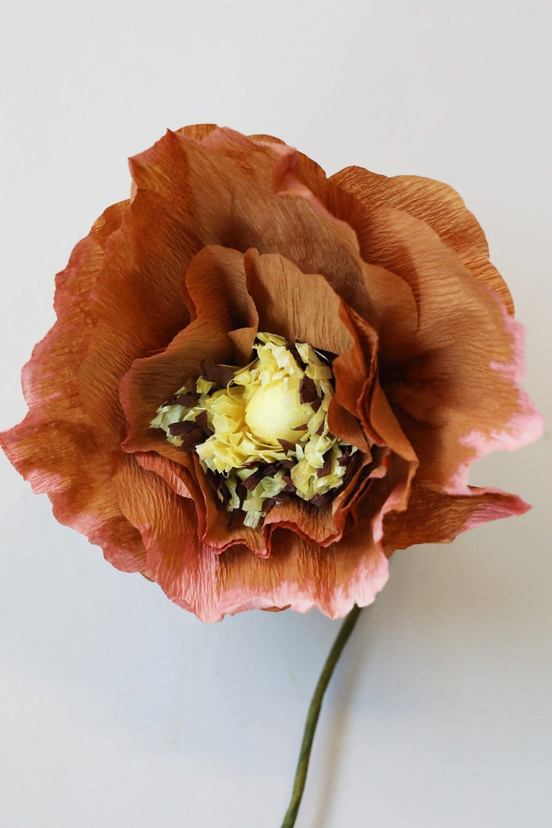Papierblume | Eismohn | Dunkles Ocker Vasenglück