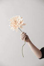 Papierblume | Große Dahlie | Nude Vasenglück