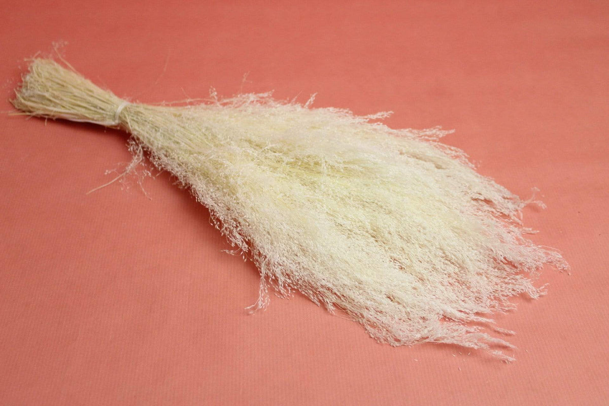 Agrostis Pulchella | 1 Bund | Weiß gebleicht Vasenglück