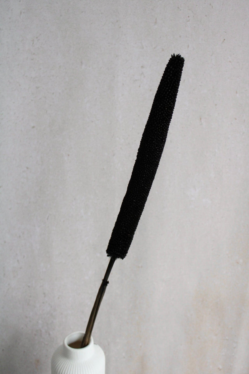 Babala | 1 Stiel | Schwarz Vasenglück