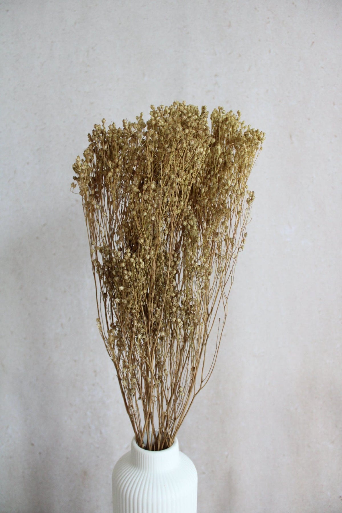 Broom Bloom | Natur Gelb Vasenglück
