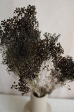 Broom Bloom | Grau Vasenglück