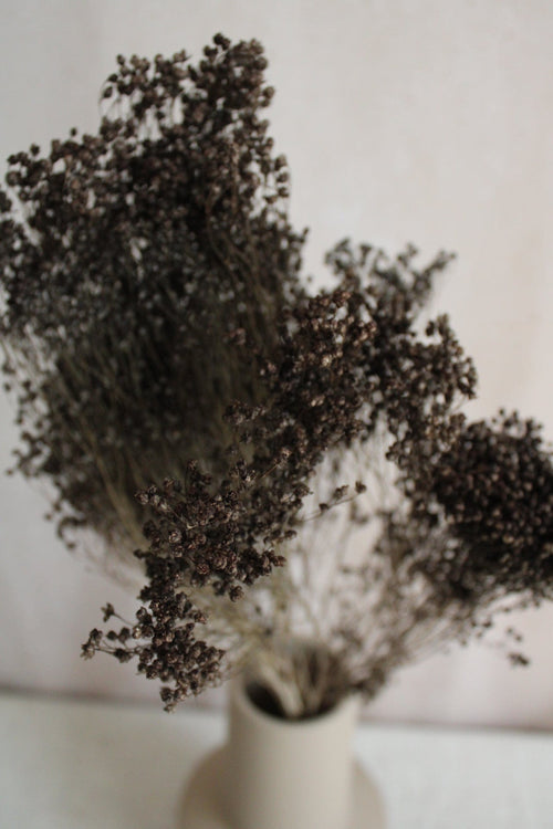 Broom Bloom | Grau Vasenglück